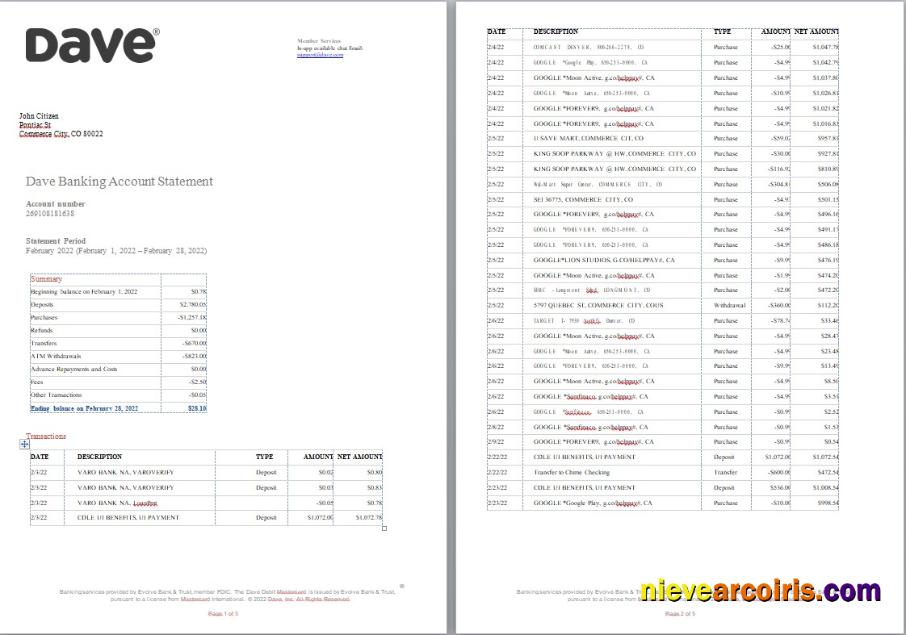 USA Dave bank account statement, Word and PDF, 5 pages